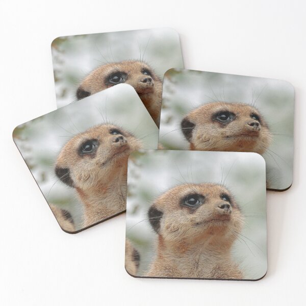 Item preview, Meerkat 148 designed and sold by JAMFoto.