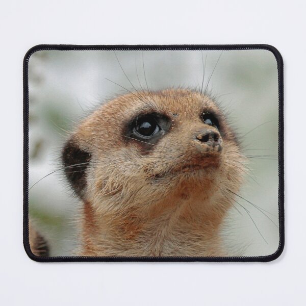 Item preview, Meerkat 148 designed and sold by JAMFoto.