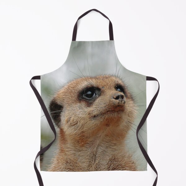 Item preview, Meerkat 148 designed and sold by JAMFoto.