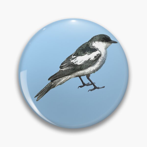 Item preview, White-winged Triller Color Design  designed and sold by designsasstultd.