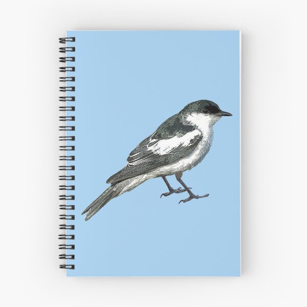 Item preview, White-winged Triller Color Design  designed and sold by designsasstultd.