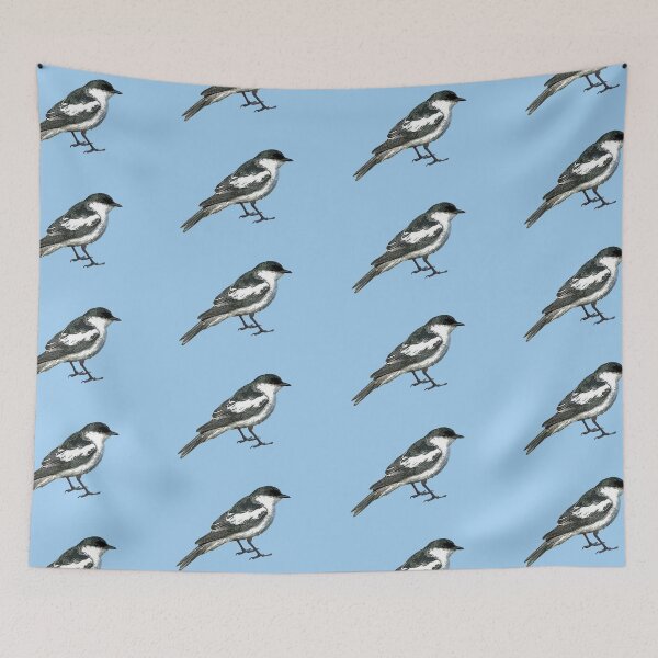 Item preview, White-winged Triller Color Design  designed and sold by designsasstultd.