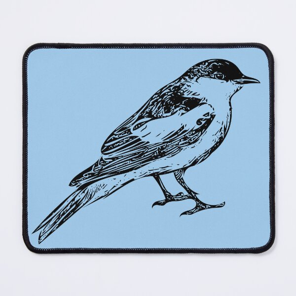 Item preview, White-winged Triller Black Design designed and sold by designsasstultd.