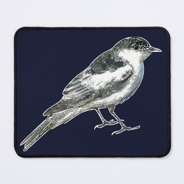 Item preview, White-winged Triller White Alternate Design designed and sold by designsasstultd.