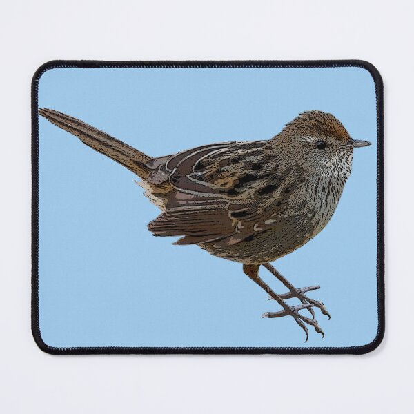 Item preview, Little Grassbird Color Design  designed and sold by designsasstultd.