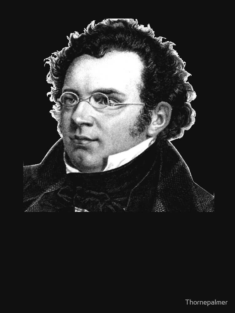 Franz Schubert - Great Composer by Thornepalmer