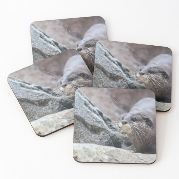 Item preview, Otters at rest designed and sold by Olivia Plasencia.