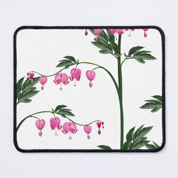 Item preview, Illustration "bleeding heart" (Dicentra spectabilis) flowers. designed and sold by MatyKotiv.