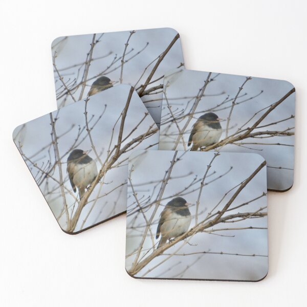 Item preview, Junco in a tree designed and sold by lisapicklepizza.
