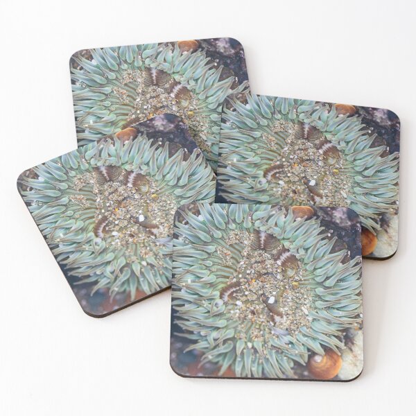 Item preview, Sea Anemone Cayucos Tide Pool designed and sold by Kenziewenze.