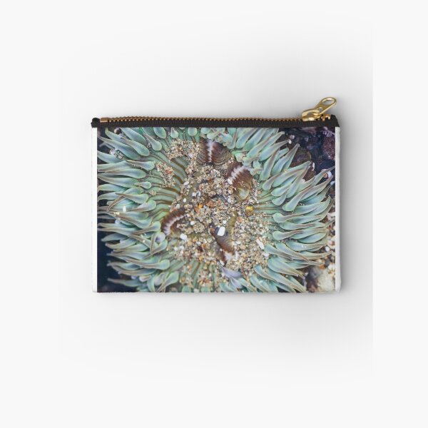 Item preview, Sea Anemone Cayucos Tide Pool designed and sold by Kenziewenze.