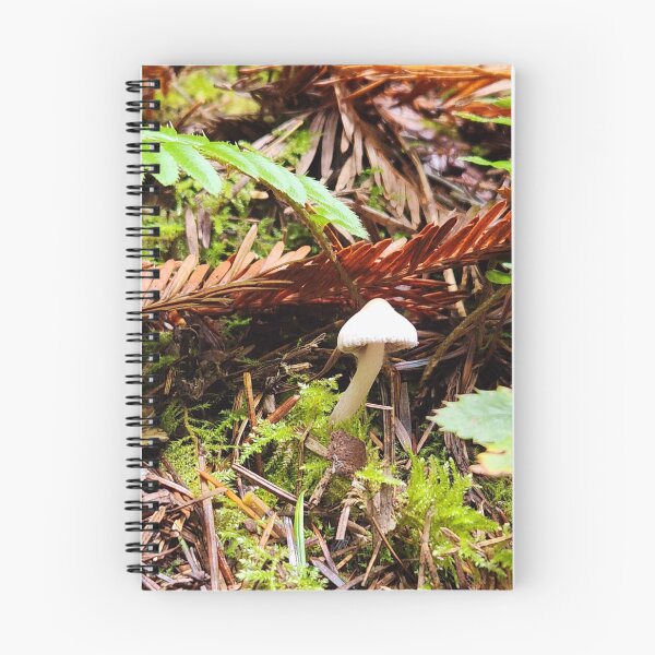 Item preview, The loneliest mushroom designed and sold by Ram-studios.