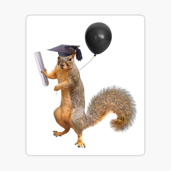 Squirrel Grad with Diploma and Balloon Sticker