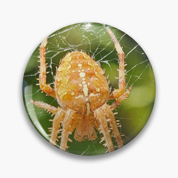 Item preview, Pumpkin spider catching some sun designed and sold by Ram-studios.