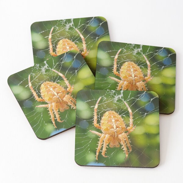 Item preview, Pumpkin spider catching some sun designed and sold by Ram-studios.
