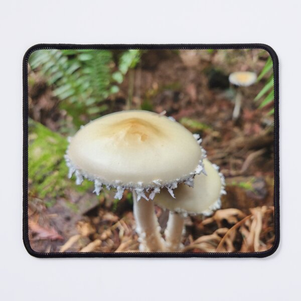 Item preview, Where the fae live designed and sold by Ram-studios.