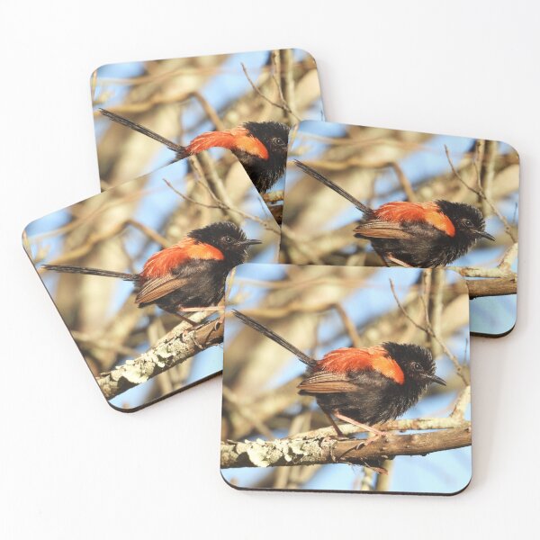Item preview, Walking with Wildlife Red-backed Fairy Wren designed and sold by Jenny  Dyer.
