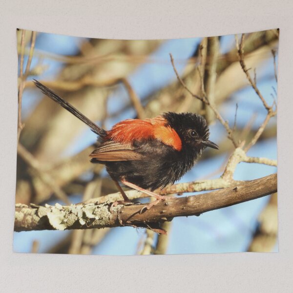 Item preview, Walking with Wildlife Red-backed Fairy Wren designed and sold by Jenny  Dyer.