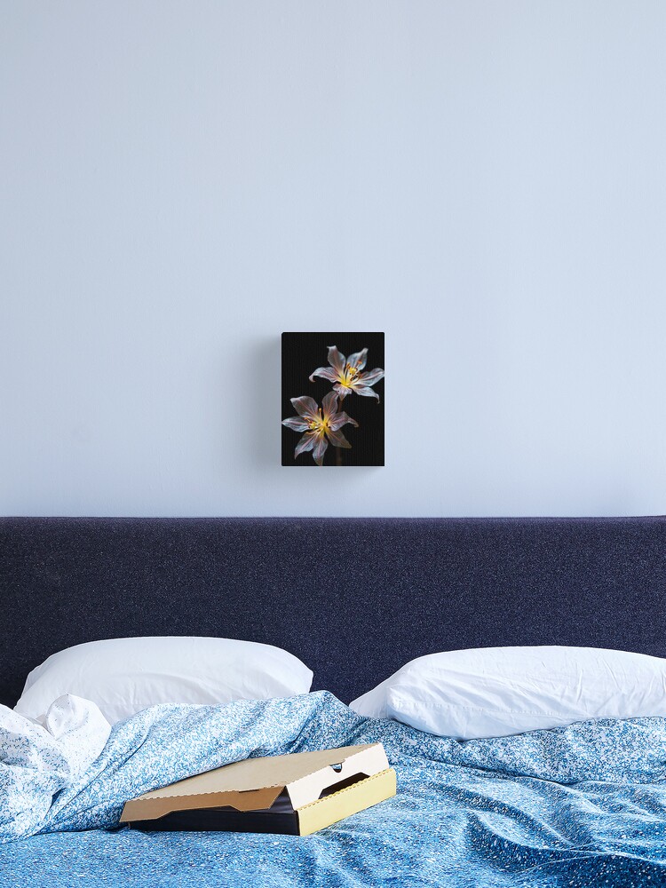 Thumbnail 2 of 3, Canvas Print, Translucent Flowers designed and sold by StudioDestruct.