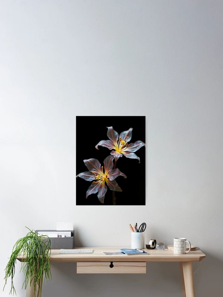 Thumbnail 2 of 3, Poster, Translucent Flowers designed and sold by StudioDestruct.
