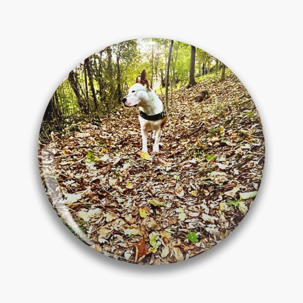Item preview, Amstaff into the woods designed and sold by SearchFind.