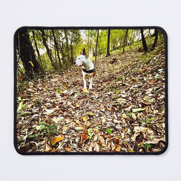 Item preview, Amstaff into the woods designed and sold by SearchFind.