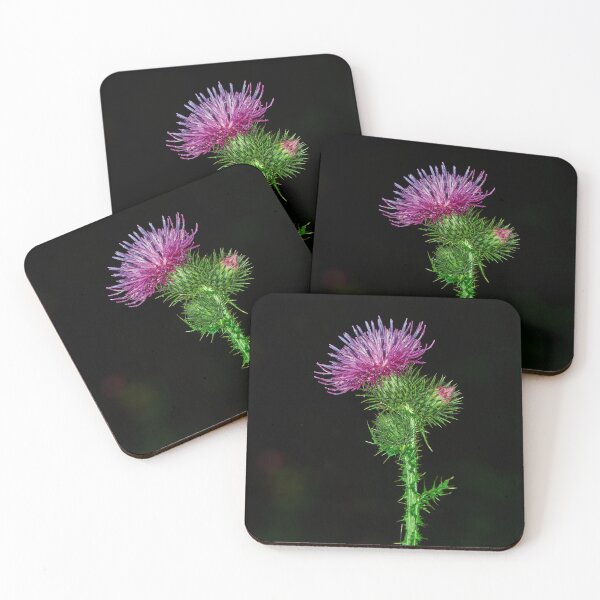 Item preview, Scottish Thistle designed and sold by Tom McPherson Photography.