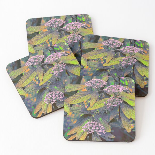 Item preview, St Paul’s Viburnum Photo Pattern designed and sold by vallisrowe.