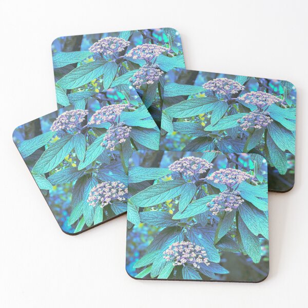 Item preview, St Paul’s Viburnum Photo Pattern designed and sold by vallisrowe.