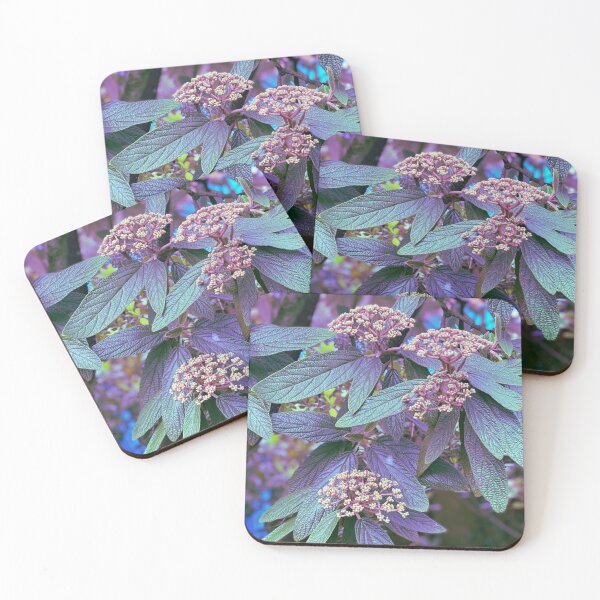 Item preview, St Paul’s Viburnum Photo Pattern designed and sold by vallisrowe.