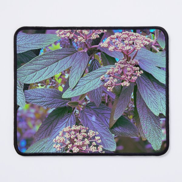 Item preview, St Paul’s Viburnum Photo Pattern designed and sold by vallisrowe.