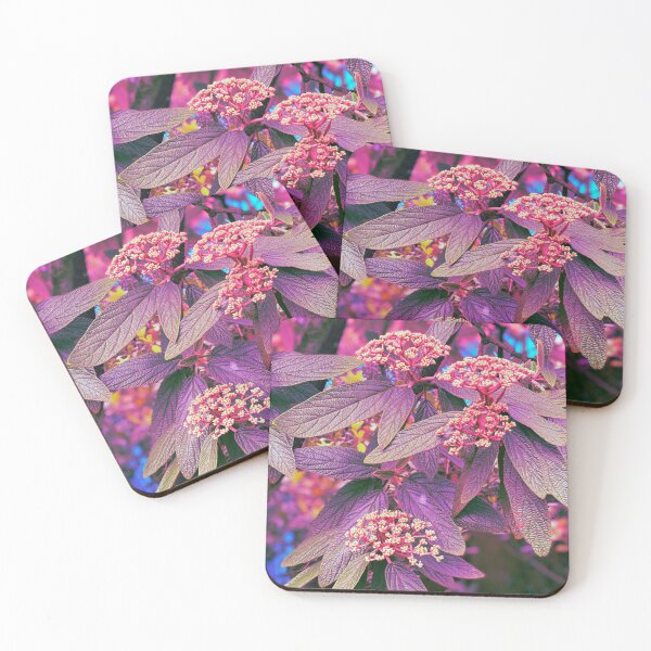Item preview, St Paul’s Viburnum Photo Pattern designed and sold by vallisrowe.