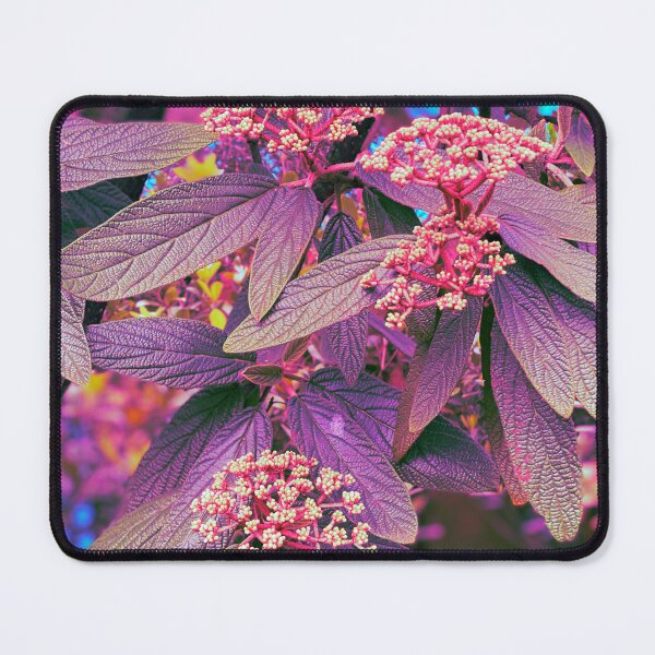 Item preview, St Paul’s Viburnum Photo Pattern designed and sold by vallisrowe.
