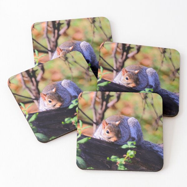 Item preview, Squirrel  designed and sold by Parks and X.