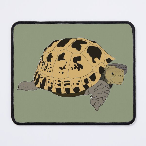 Item preview, Boop the Horsfield tortoise designed and sold by bubbaclez.
