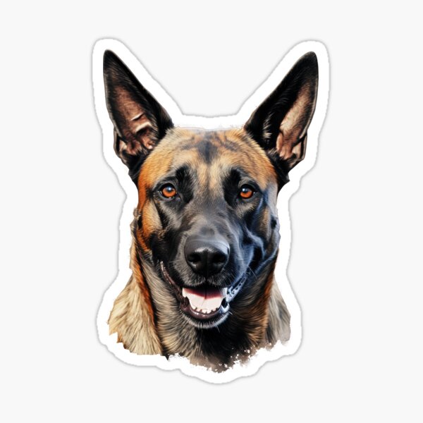 Item preview, Belgian Malinois  designed and sold by blackdogbuckeye.