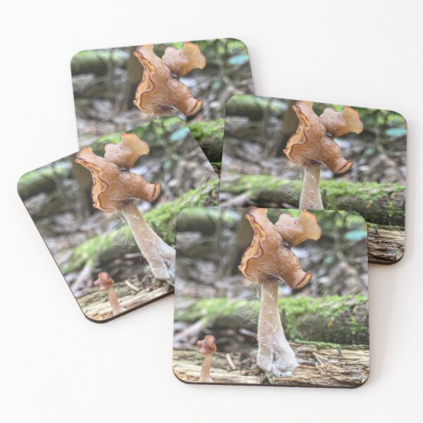 Item preview, Saddle-shaped False Morel Gyromitra infula designed and sold by MostSplendid.