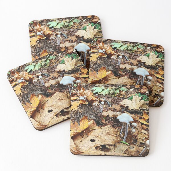 Item preview, Large and Small Mushrooms on a Dead Leaf Forest Floor designed and sold by MostSplendid.