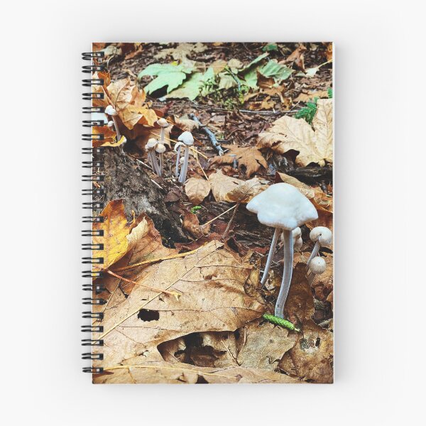Item preview, Large and Small Mushrooms on a Dead Leaf Forest Floor designed and sold by MostSplendid.