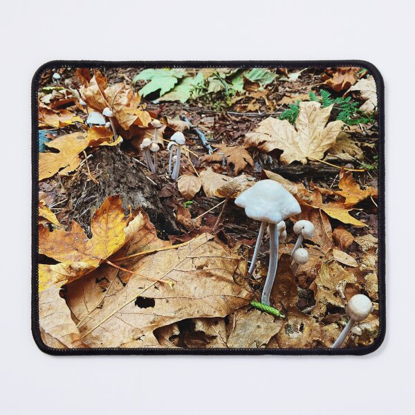 Item preview, Large and Small Mushrooms on a Dead Leaf Forest Floor designed and sold by MostSplendid.