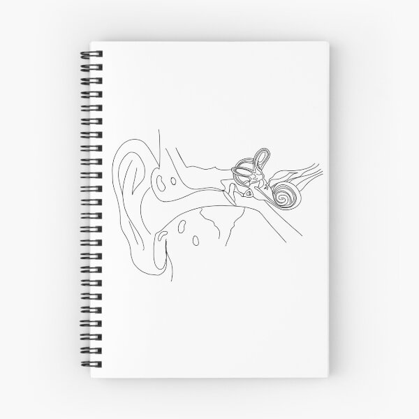 Item preview, Ear Anatomy Line Drawing | Outer, Middle, and Inner Ear  designed and sold by Painted-Pansy.