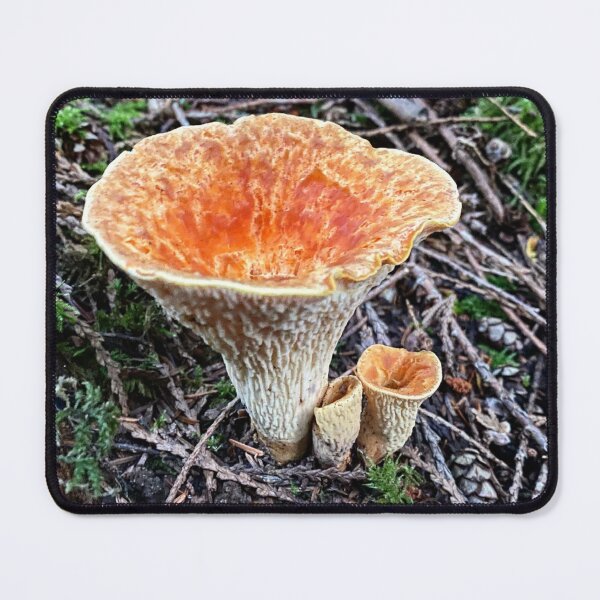 Item preview, Scaly Chanterelle Turbinellus floccosus designed and sold by MostSplendid.