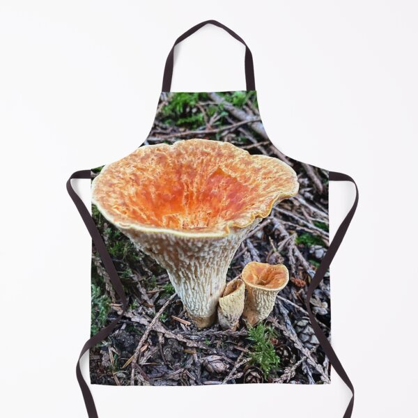 Item preview, Scaly Chanterelle Turbinellus floccosus designed and sold by MostSplendid.