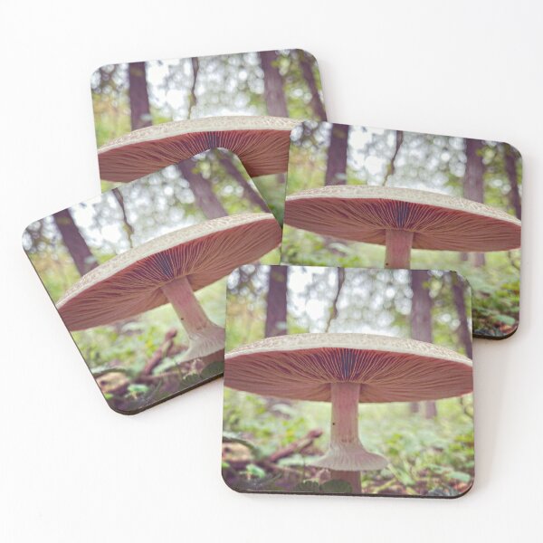 Item preview, Wide Mushroom designed and sold by MostSplendid.