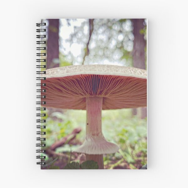 Item preview, Wide Mushroom designed and sold by MostSplendid.