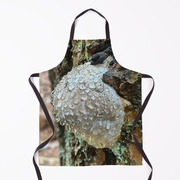 Item preview, Polypore guttation on a tree designed and sold by MostSplendid.