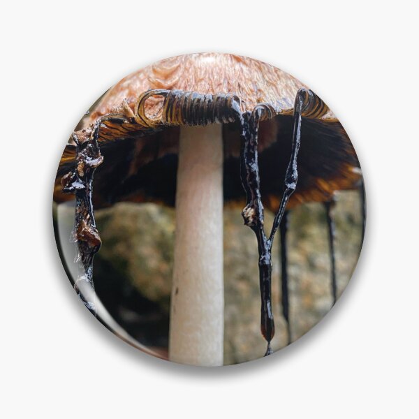 Item preview, Shaggy Mane Coprinus comatus mushroom designed and sold by MostSplendid.
