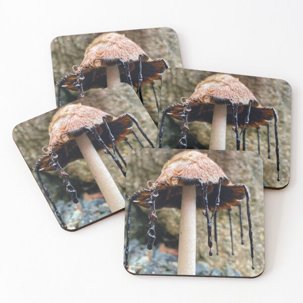 Item preview, Shaggy Mane Coprinus comatus mushroom designed and sold by MostSplendid.