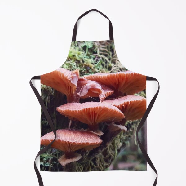Aperçu de l'œuvre Champignons roses poussant sur un arbre moussu créée et vendue par MostSplendid.