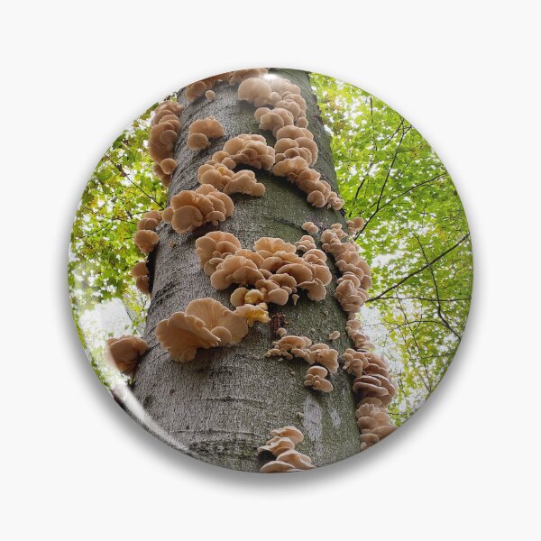 Item preview, Oyster mushrooms growing up a tree designed and sold by MostSplendid.